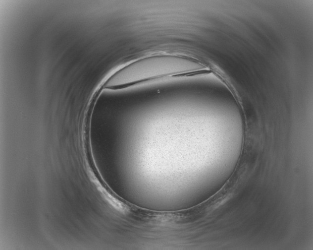 X0000081290803200701181807