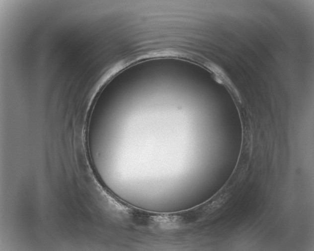 X0000081290805200701181807
