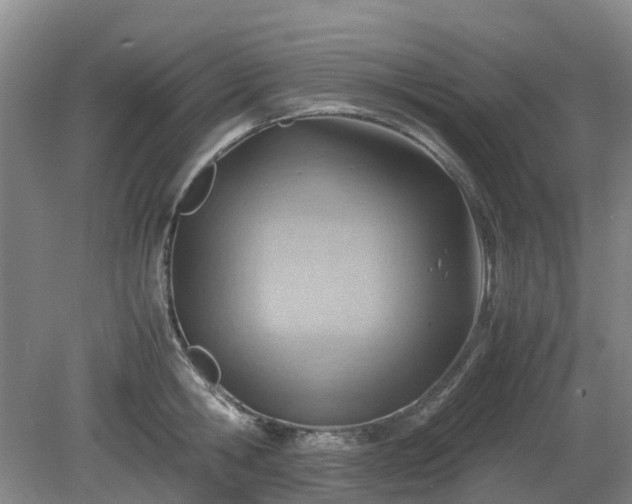 X0000081290806200701181807