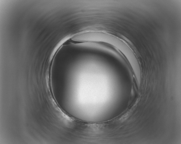 X0000081290812200701181807