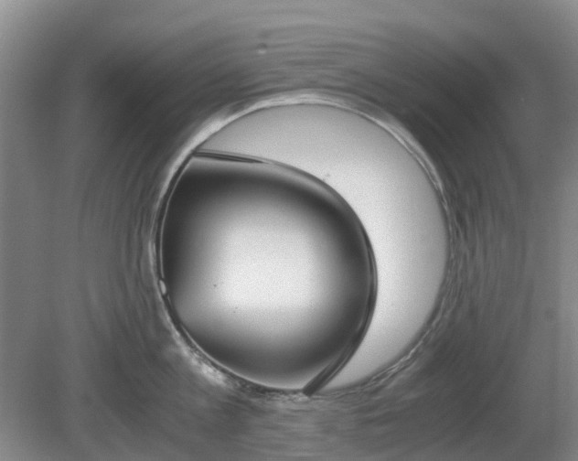 X0000081290813200701181807