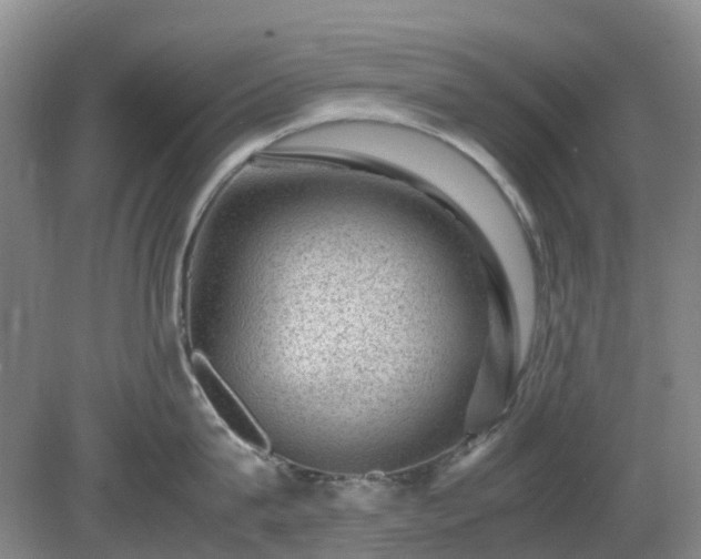 X0000081290815200701181807
