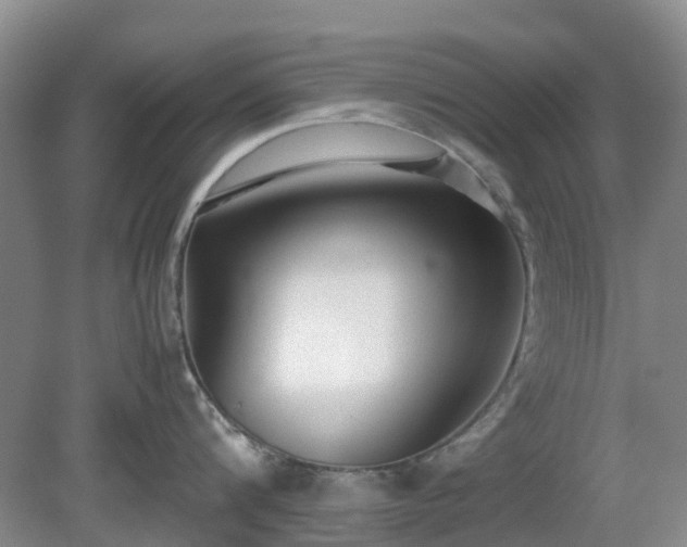 X0000081290816200701181807