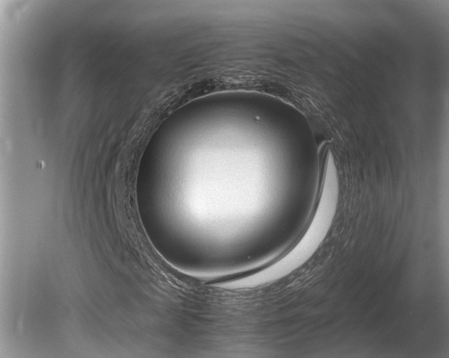 X0000081290817200701181806