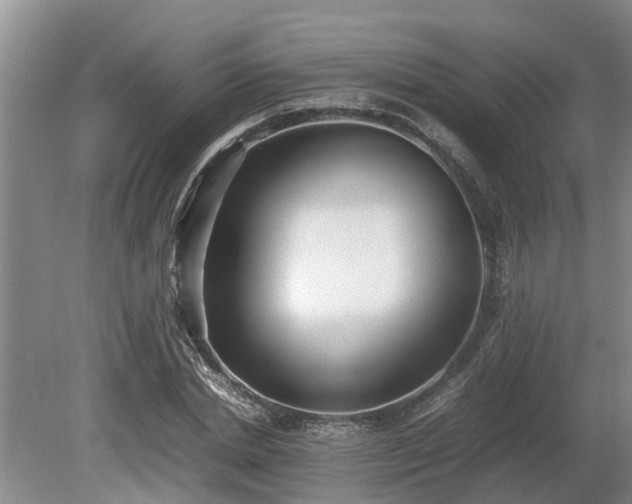 X0000081290830200701181807