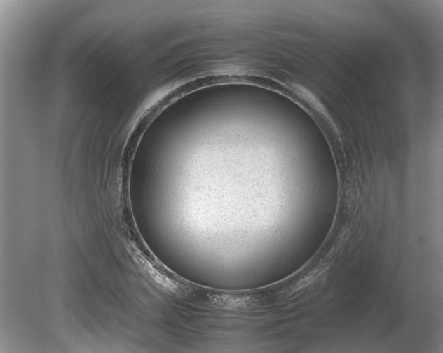 X0000081290831200701181807