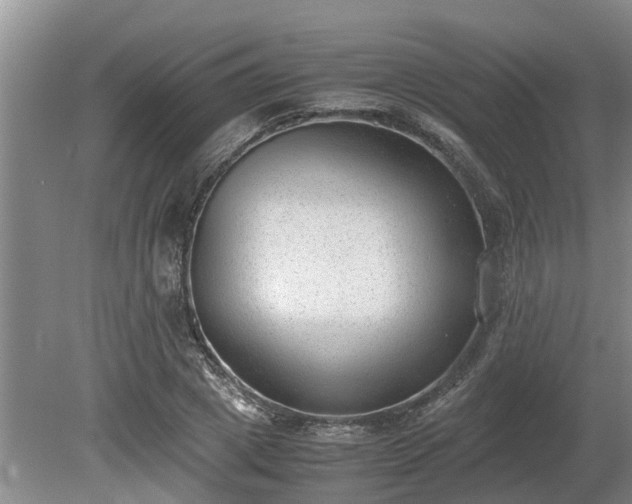 X0000081290833200701181807