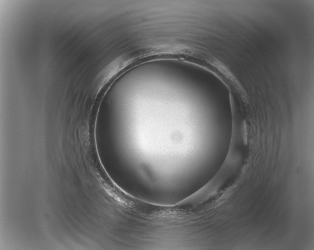 X0000081290834200701181807