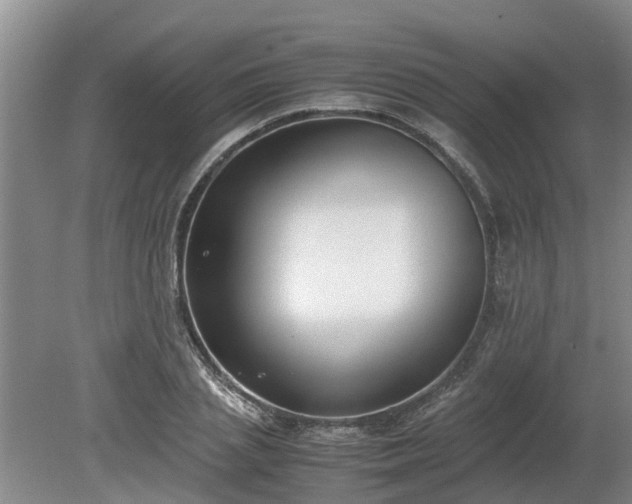 X0000081290837200701181807