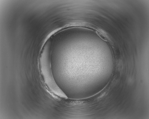 X0000081290846200701181807