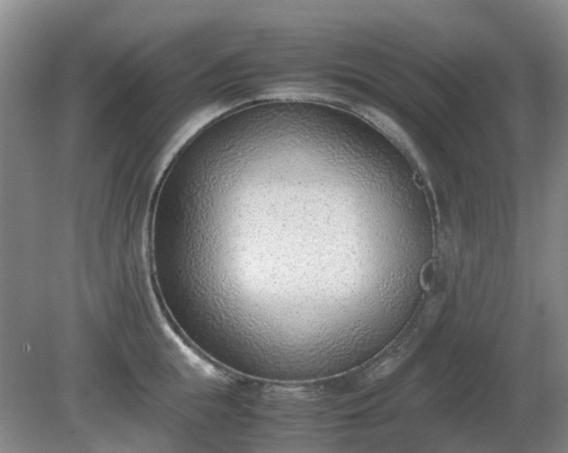 X0000081290855200701181807
