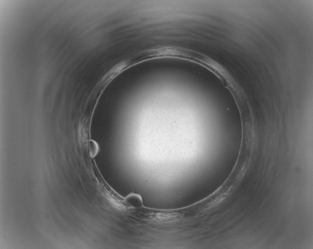 X0000081290857200701181807