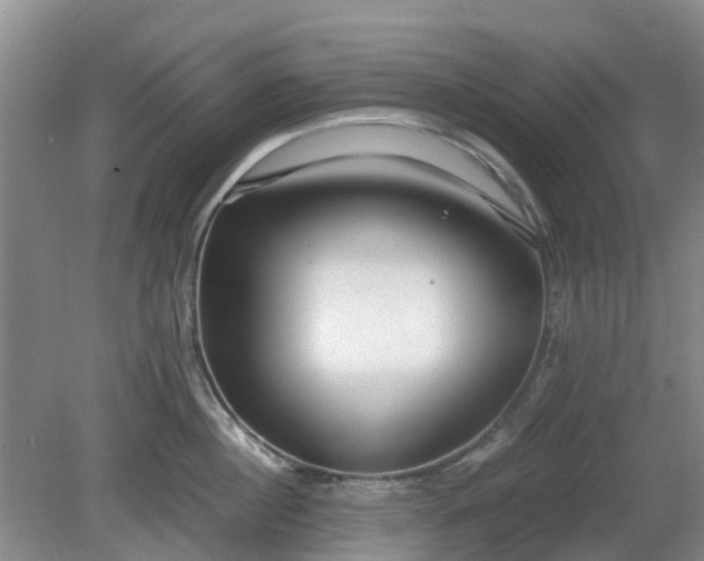 X0000081290860200701181807
