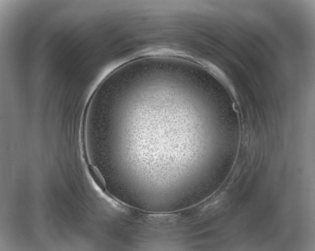 X0000081290863200701181807