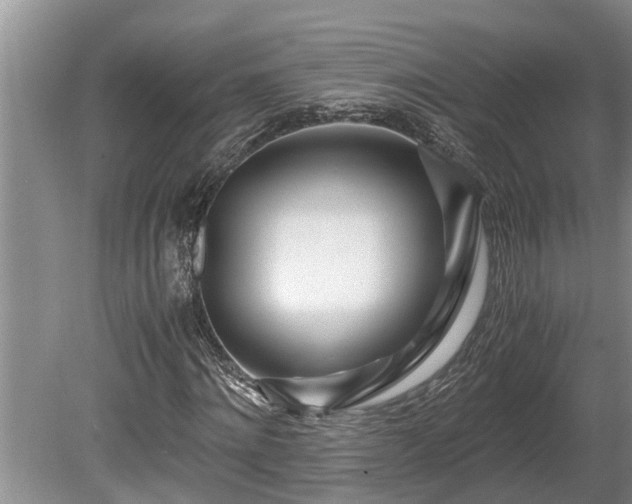 X0000081290868200701181806
