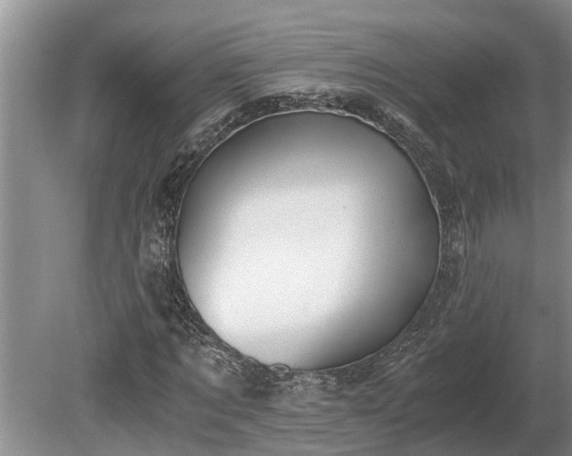X0000081290869200701181806