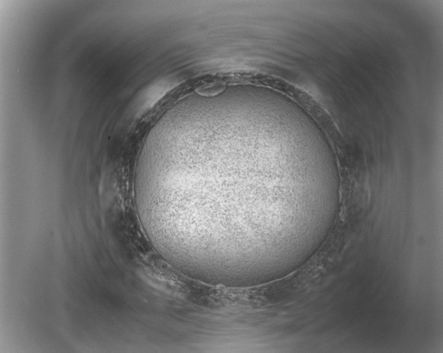 X0000081290871200701181806