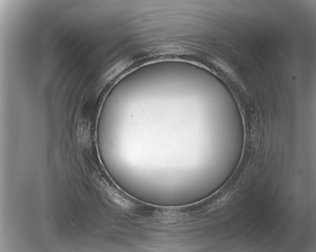 X0000081290873200701181806