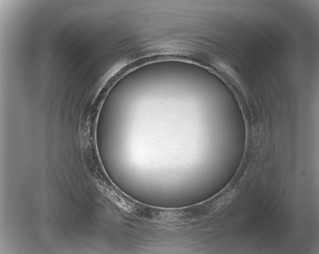 X0000081290875200701181806