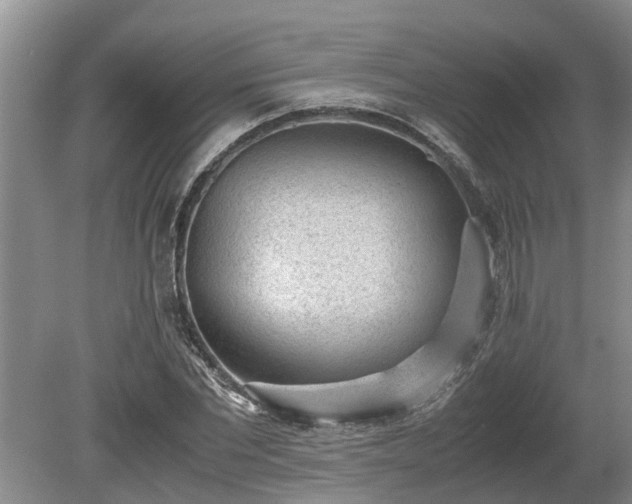 X0000081290877200701181806