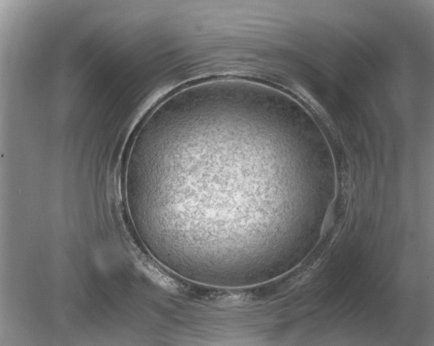 X0000081290891200701181806