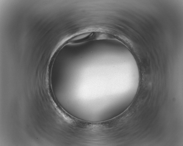 X0000081290894200701181806