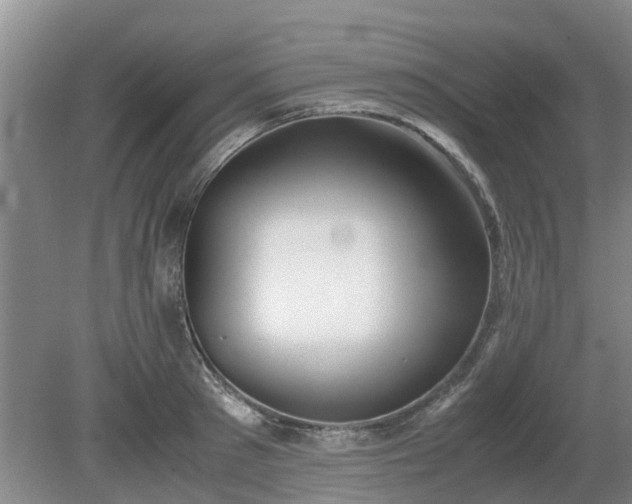 X0000081290897200701181806