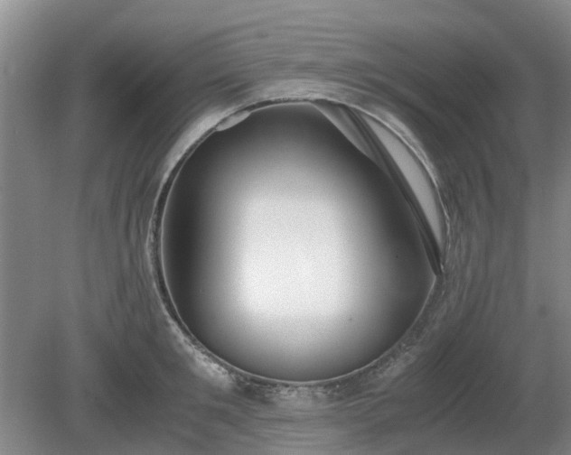 X0000081290901200701181806