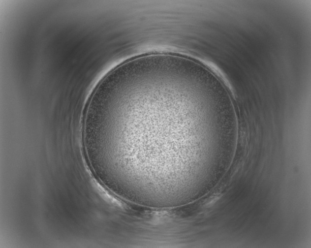 X0000081290903200701181806