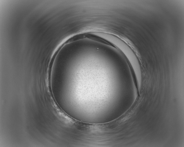 X0000081290904200701181806