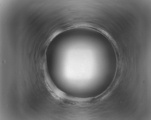 X0000081290905200701181806