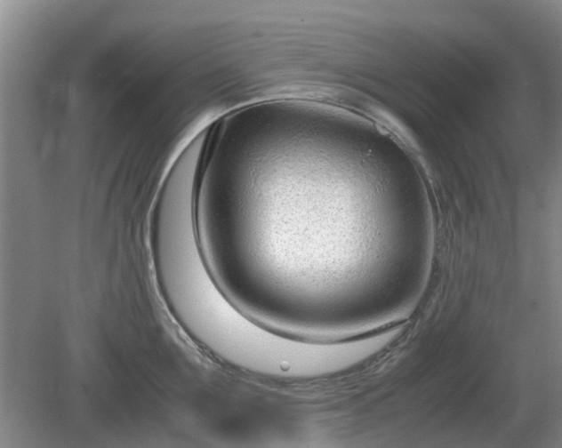 X0000081290907200701181806