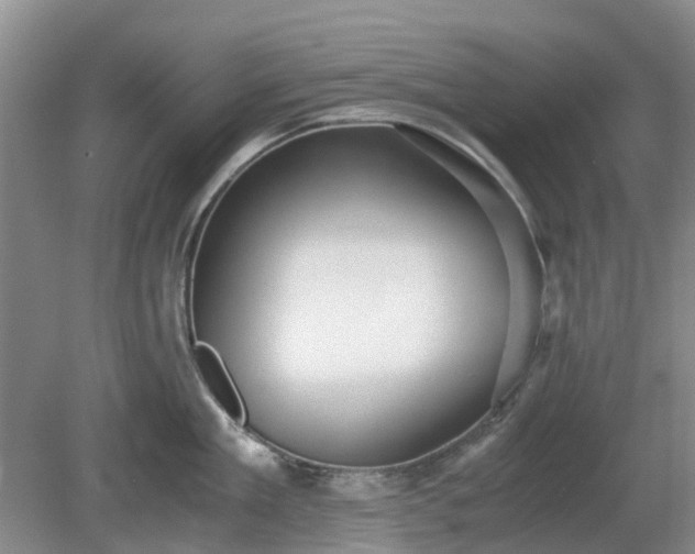X0000081290909200701181806