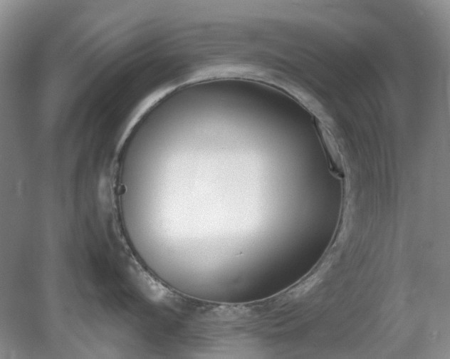 X0000081290912200701181806