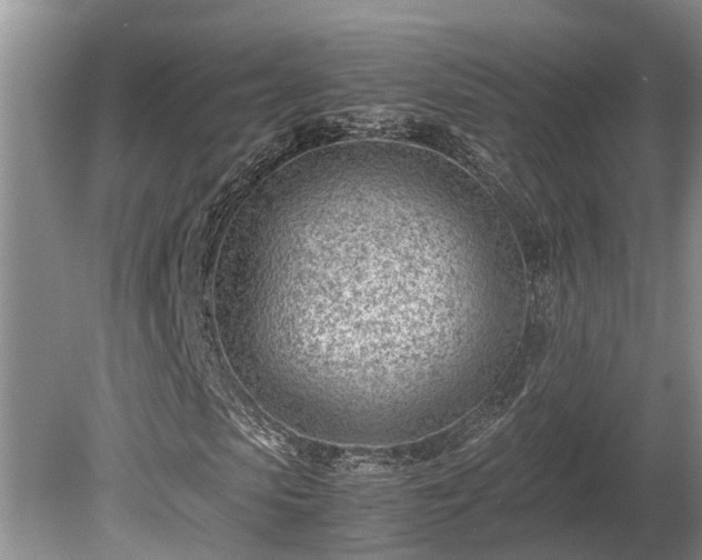 X0000081290913200701181805