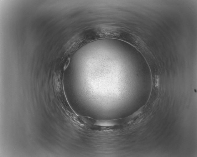 X0000081290915200701181805