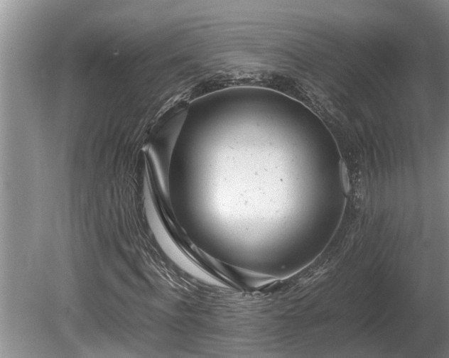 X0000081290916200701181805