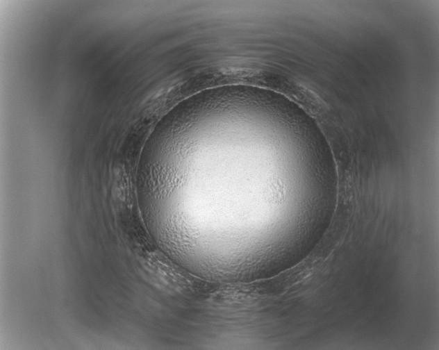X0000081290917200701181805