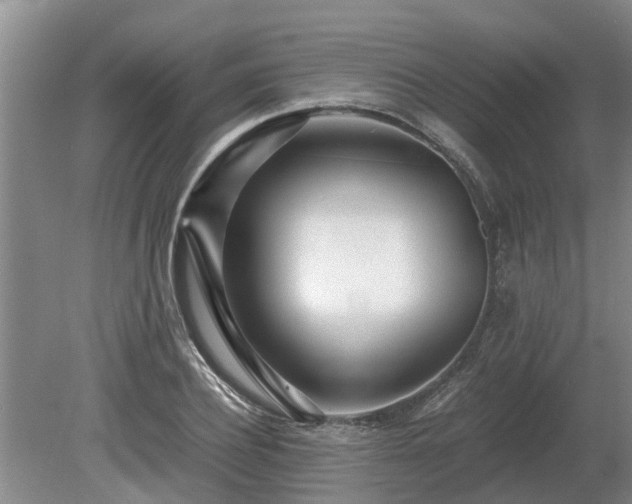 X0000081290932200701181805