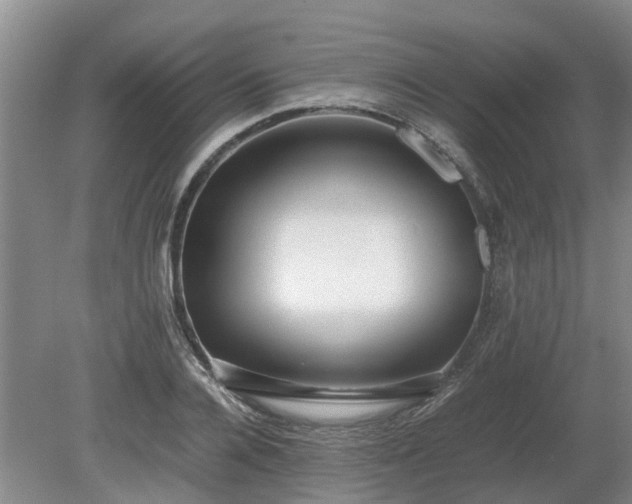 X0000081290936200701181805