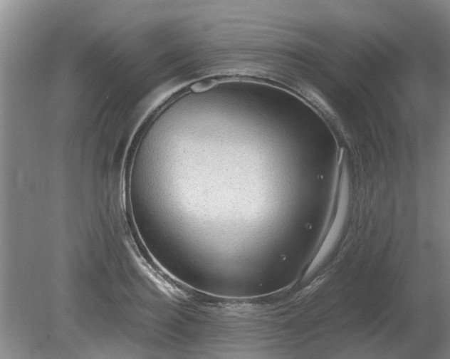 X0000081290940200701181805