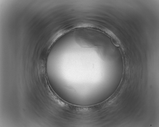 X0000081290945200701181805