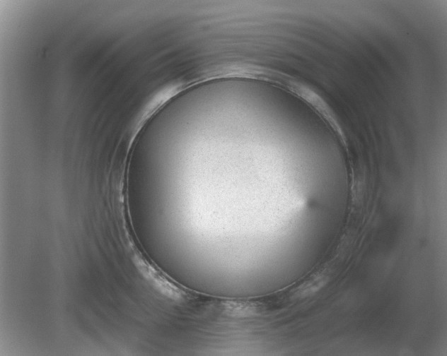 X0000081290954200701181806