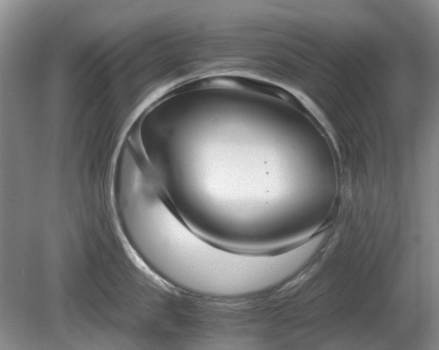 X0000081290957200701181806