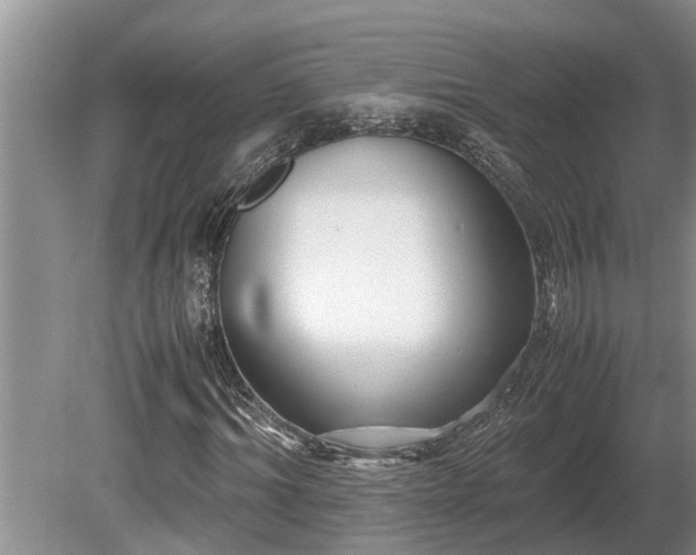 X0000081290964200701181805