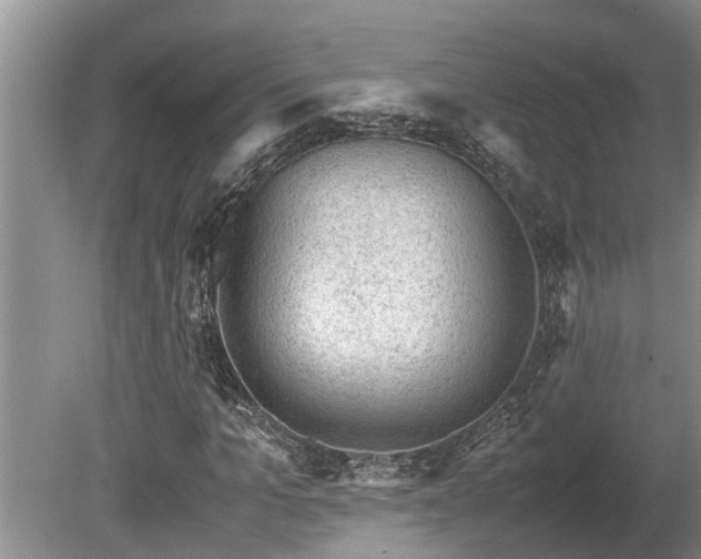 X0000081290965200701181805