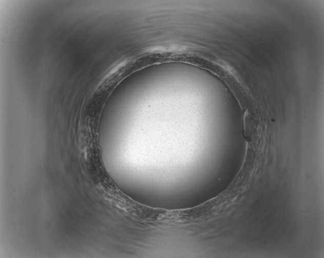 X0000081290967200701181805