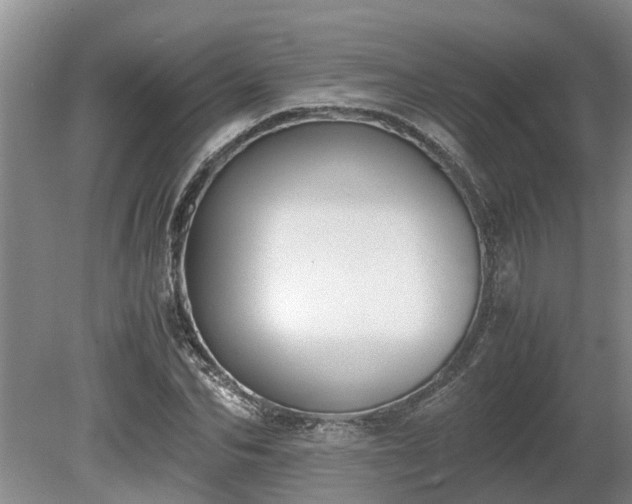 X0000081290974200701181805