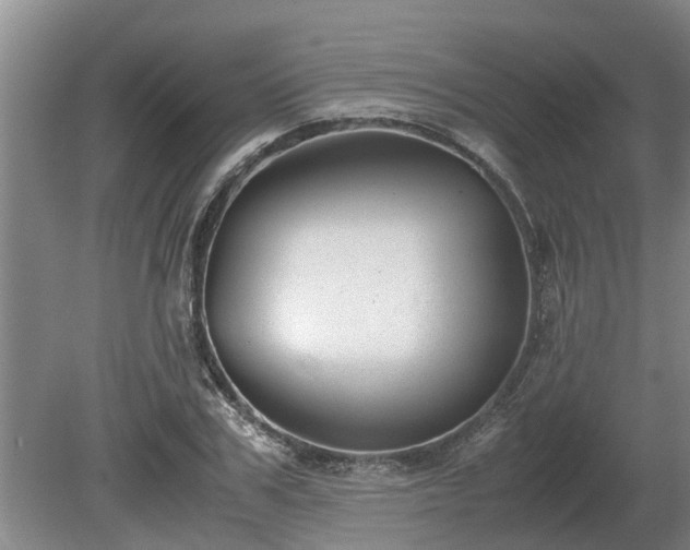X0000081290979200701181805
