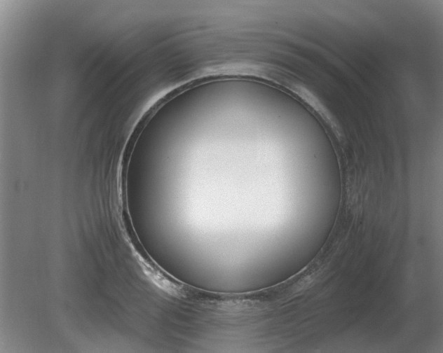 X0000081290988200701181804